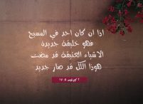 الأسبوع الثامن